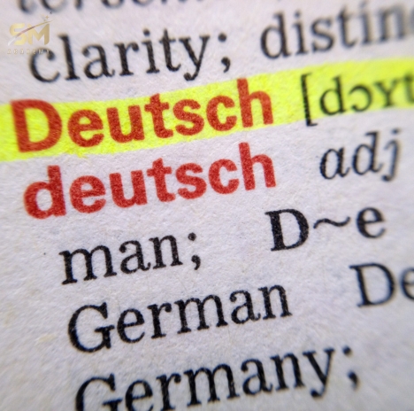 German Grammar Cases Articles Word Order